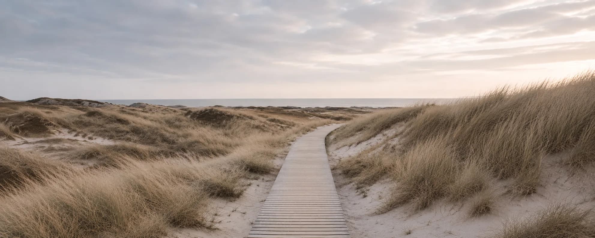 Gangsti gjennom sanddyner mot havet